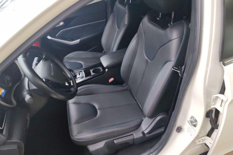 Used Venucia D60EV 2020 Standard Range Smart Drive Edition Left Front Seat
