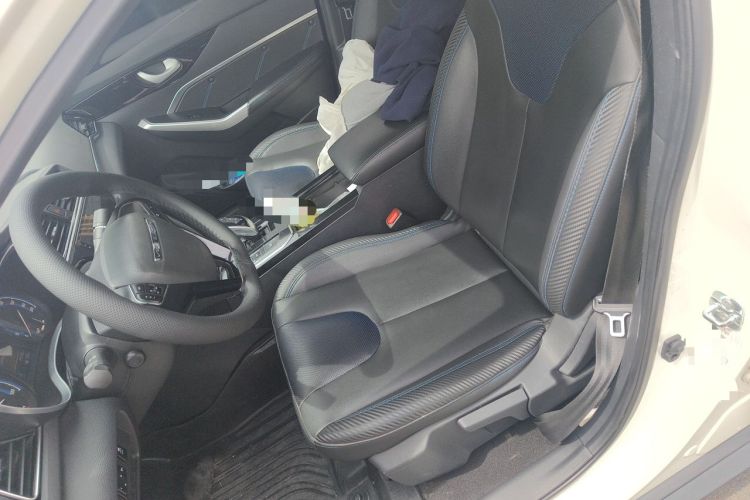 Used Venucia D60EV 2020 Standard Range Smart Drive Edition Left Front Seat