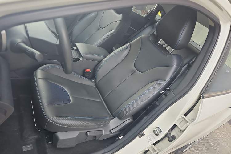 Used Venucia D60EV 2020 Standard Range Smart Drive Edition Left Front Seat