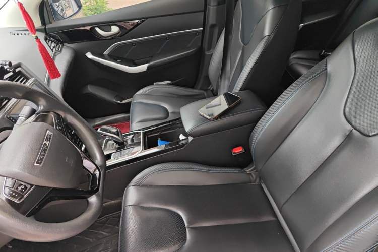 Used Venucia D60EV 2020 Standard Range Smart Drive Edition Left Front Seat