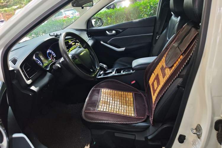 Used Venucia D60EV 2020 Standard Range Smart Drive Edition Left Front Seat