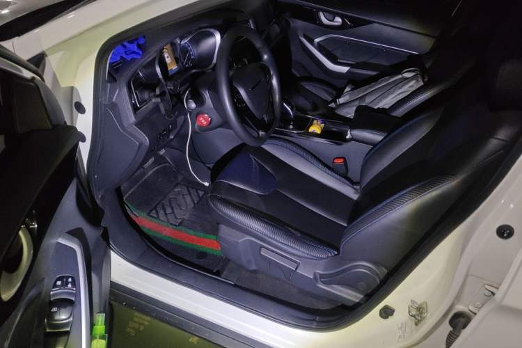 Used Venucia D60EV 2020 Standard Range Comfort Edition Left Front Seat