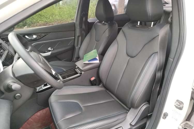 Used Venucia D60EV 2020 Standard Range Smart Drive Edition Left Front Seat