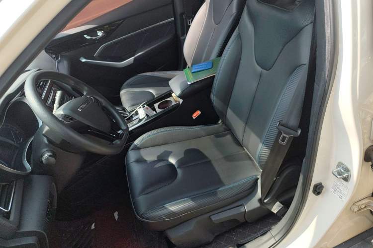 Used Venucia D60EV 2020 Standard Range Smart Drive Edition Left Front Seat