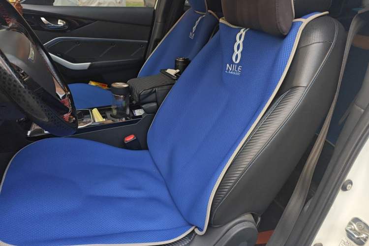 Used Venucia D60EV 2020 Standard Range Smart Drive Edition Left Front Seat