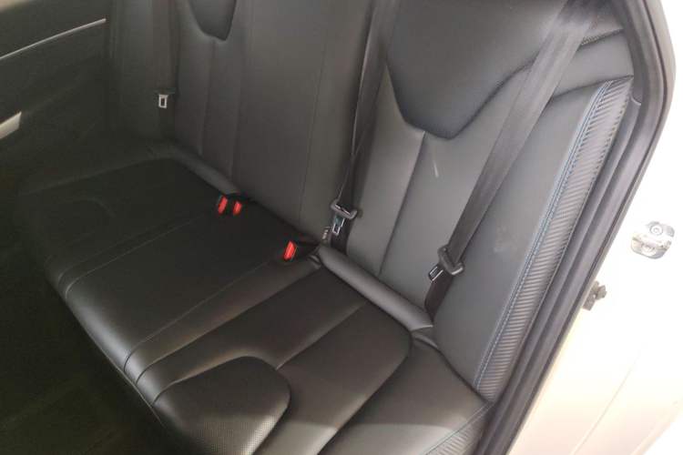 Used Venucia D60EV 2020 Standard Range Smart Drive Edition Left Rear Seat