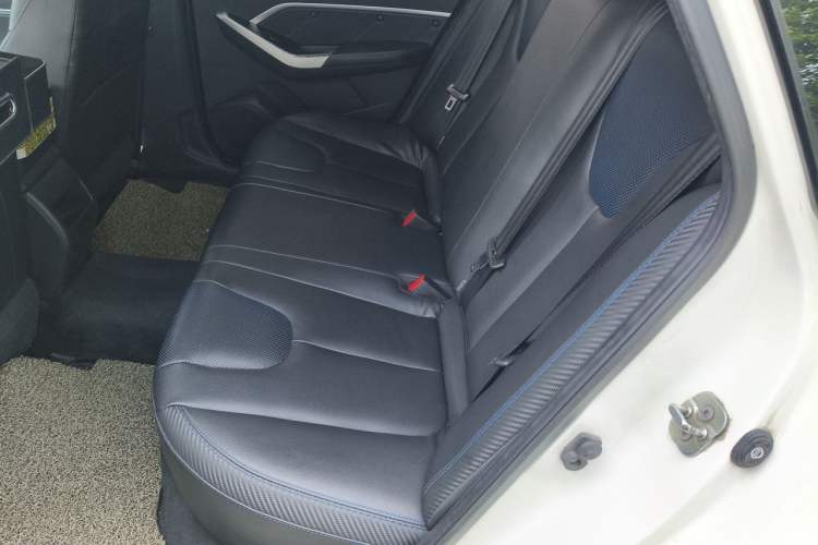Used Venucia D60EV 2020 Standard Range Smart Drive Edition Left Rear Seat