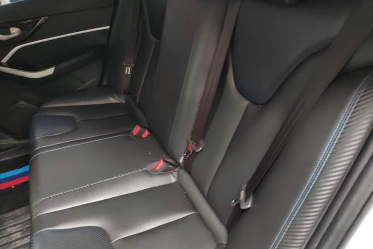 Used Venucia D60EV 2020 Standard Range Smart Drive Edition Left Rear Seat