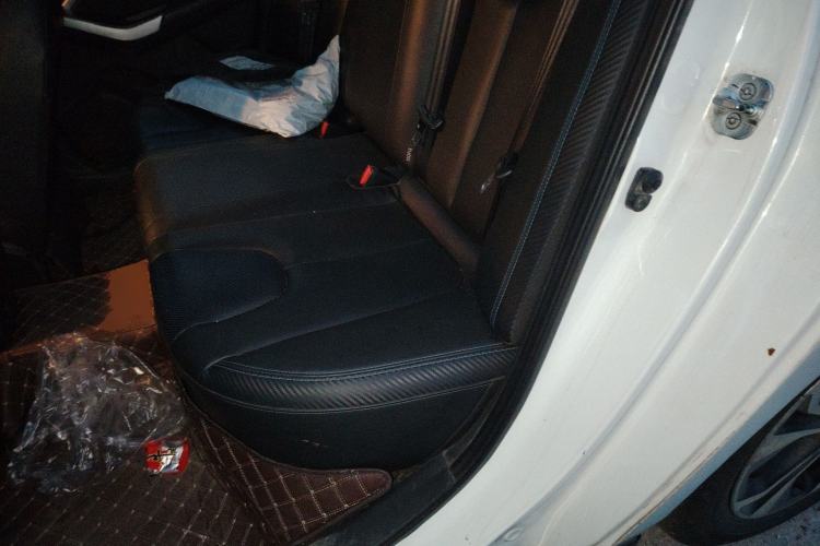 Used Venucia D60EV 2020 Standard Range Comfort Edition Left Rear Seat