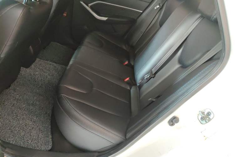 Used Venucia D60EV 2020 Standard Range Smart Drive Version – Ride-Hailing Large-Screen Edition Left Rear Seat