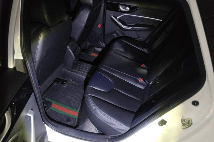 Used Venucia D60EV 2020 Standard Range Comfort Edition Left Rear Seat