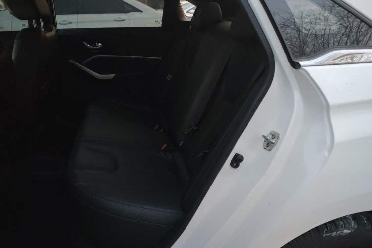 Used Venucia D60EV 2020 Standard Range T3 Left Rear Seat