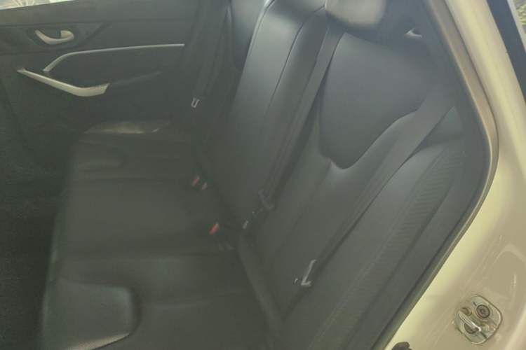 Used Venucia D60EV 2020 Standard Range Smart Drive Edition Left Rear Seat