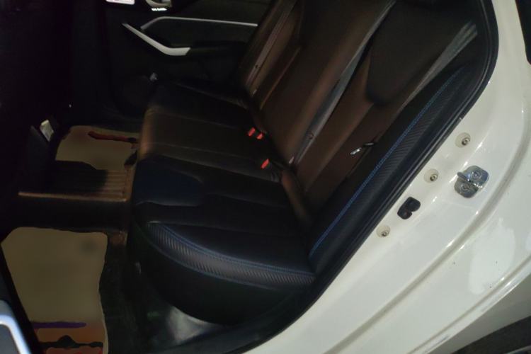 Used Venucia D60EV 2020 Standard Range Smart Drive Edition Left Rear Seat