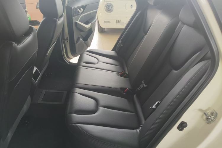 Used Venucia D60EV 2020 Standard Range Smart Drive Edition Left Rear Seat