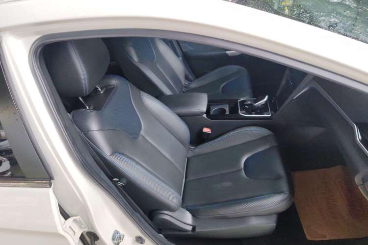 Used Venucia D60EV 2020 Standard Range Smart Drive Edition Right Front Seat