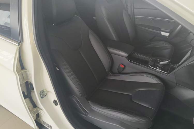 Used Venucia D60EV 2020 Standard Range Smart Drive Edition Right Front Seat