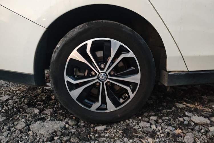 Used Venucia D60EV 2020 Standard Range T3 Right Rear Wheel Hub
