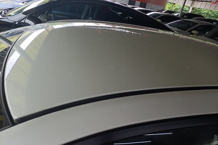 Used Venucia D60EV 2020 Standard Range Smart Drive Edition Roof