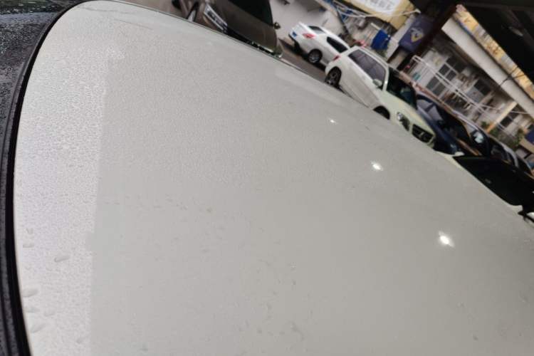 Used Venucia D60EV 2020 Standard Range Smart Drive Edition Roof