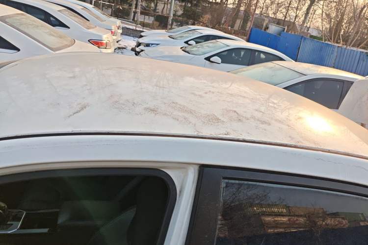Used Venucia D60EV 2020 Standard Range T3 Roof