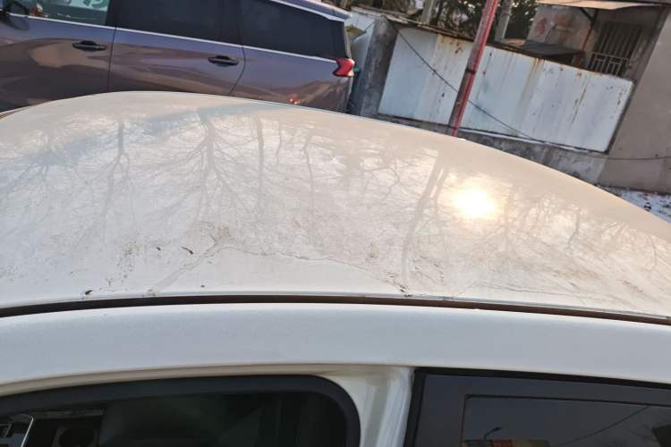 Used Venucia D60EV 2020 Standard Range T3 Roof