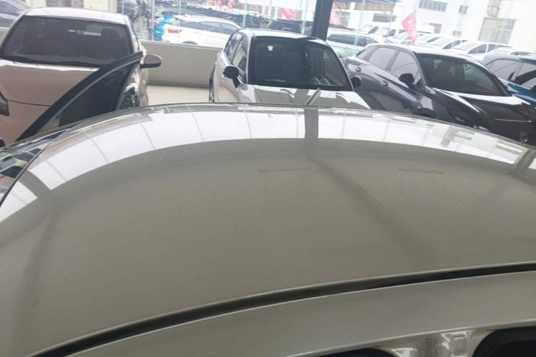 Used Venucia D60EV 2020 Standard Range Smart Drive Edition Roof