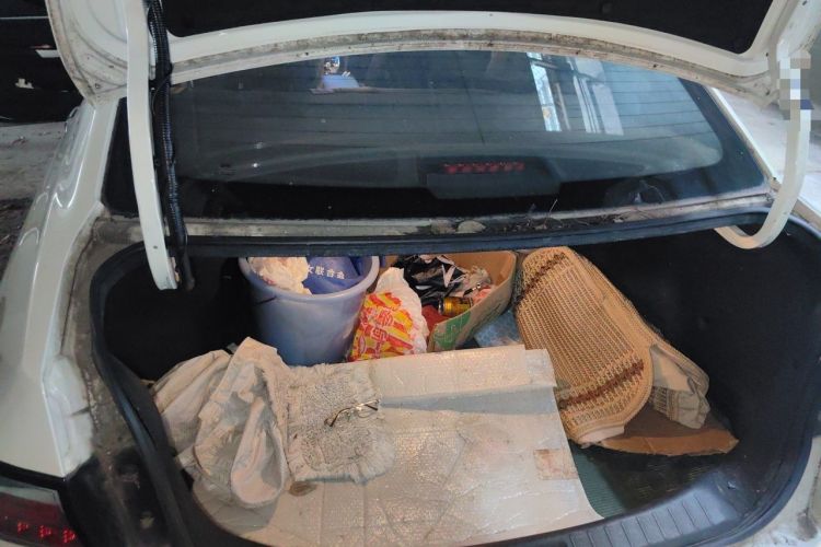 Used Venucia D60EV 2020 Standard Range Smart Drive Edition Trunk