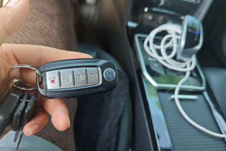 Used Venucia D60EV 2020 Standard Range T3 Vehicle Key