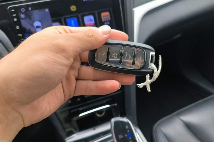 Used Venucia D60EV 2020 Standard Range T3 Vehicle Key