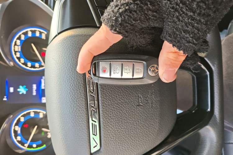 Used Venucia D60EV 2020 Standard Range T3 Vehicle Key
