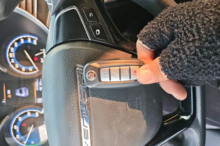 Used Venucia D60EV 2020 Standard Range T3 Vehicle Key