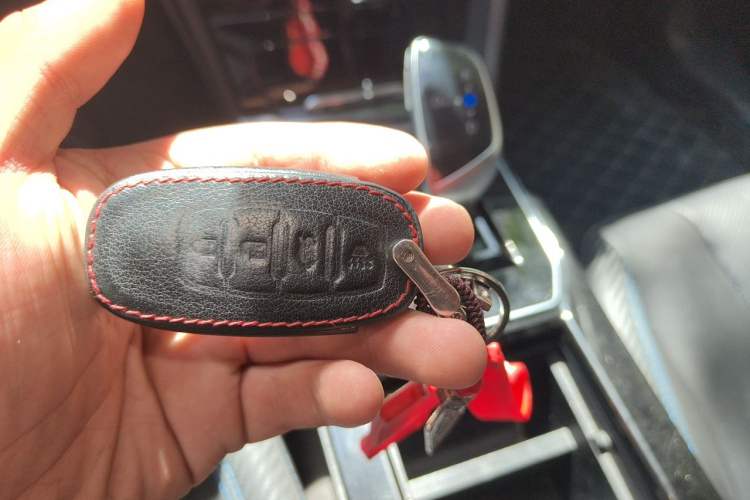 Used Venucia D60EV 2020 Standard Range Smart Drive Edition Vehicle Key