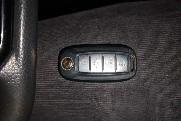 Used Venucia D60EV 2020 Standard Range T3 Vehicle Key