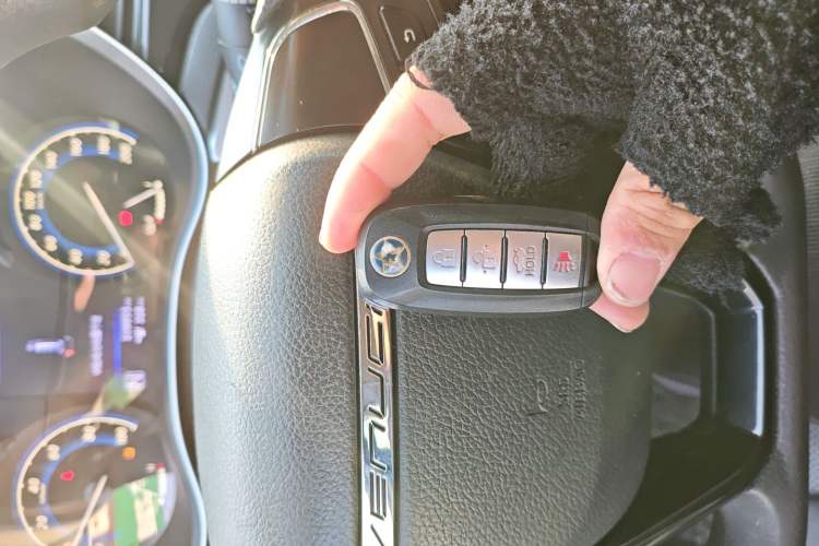 Used Venucia D60EV 2020 Standard Range T3 Vehicle Key