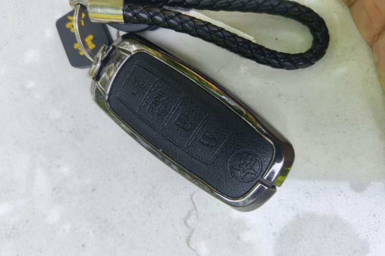 Used Venucia D60EV 2020 Standard Range T3 Vehicle Key