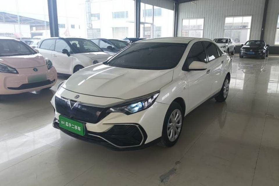 Venucia Venucia D60EV 2020