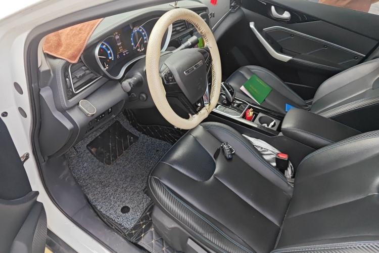 Used Venucia D60EV 2022 Standard Range Smart Drive Version Driver Seat