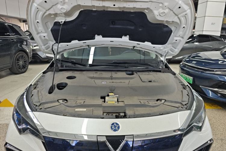 Used Venucia D60EV 2022 Standard Range T3 Engine Bay