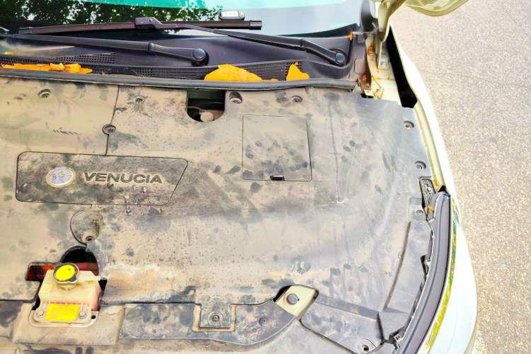 Used Venucia D60EV 2022 Standard Range Smart Drive Version Engine Bay Left