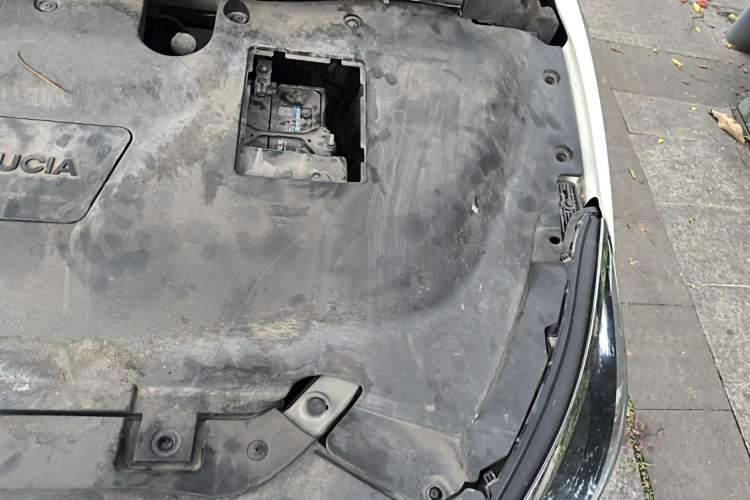 Used Venucia D60EV 2022 Standard Range Smart Drive Version Engine Bay Left