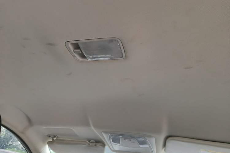Used Venucia D60EV 2022 Standard Range Comfort Edition Headliner