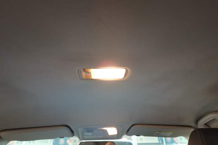 Used Venucia D60EV 2022 Standard Range Smart Drive Version Headliner