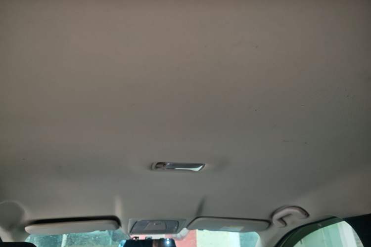 Used Venucia D60EV 2022 Standard Range Smart Drive Version Headliner