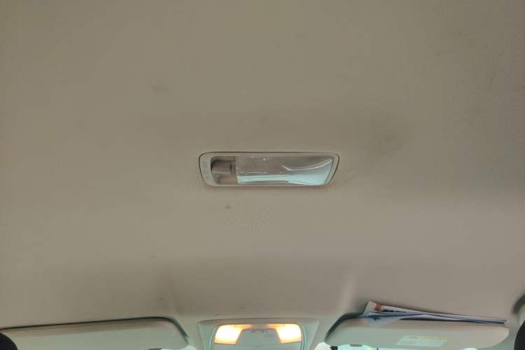Used Venucia D60EV 2022 Battery-Swap Version Headliner
