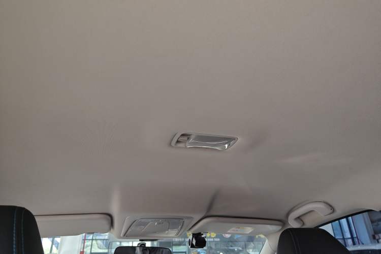 Used Venucia D60EV 2022 Standard Range T3 Headliner