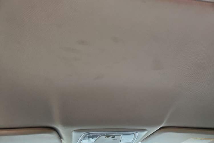 Used Venucia D60EV 2022 Standard Range Smart Drive Version Headliner