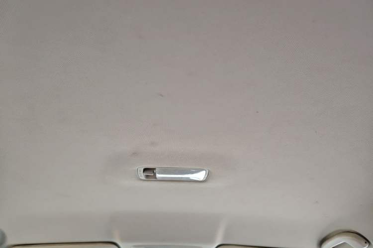 Used Venucia D60EV 2022 Standard Range Smart Drive Version Headliner
