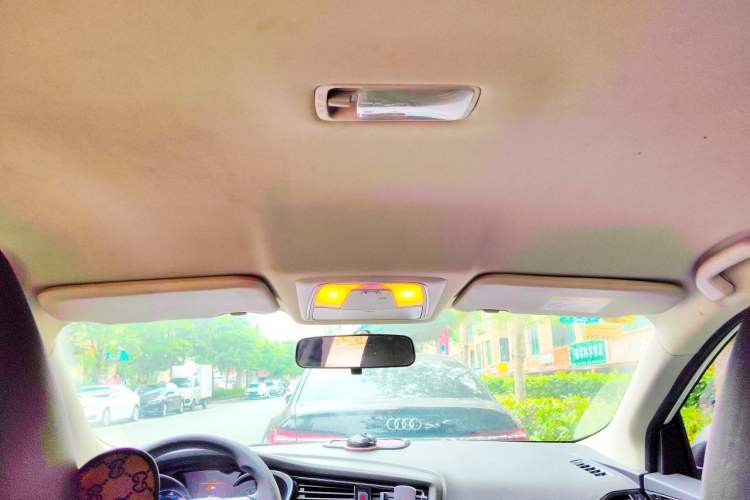Used Venucia D60EV 2022 Standard Range Smart Drive Version Headliner