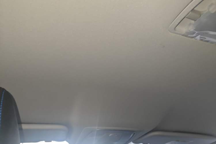 Used Venucia D60EV 2022 Battery-Swap Version Headliner